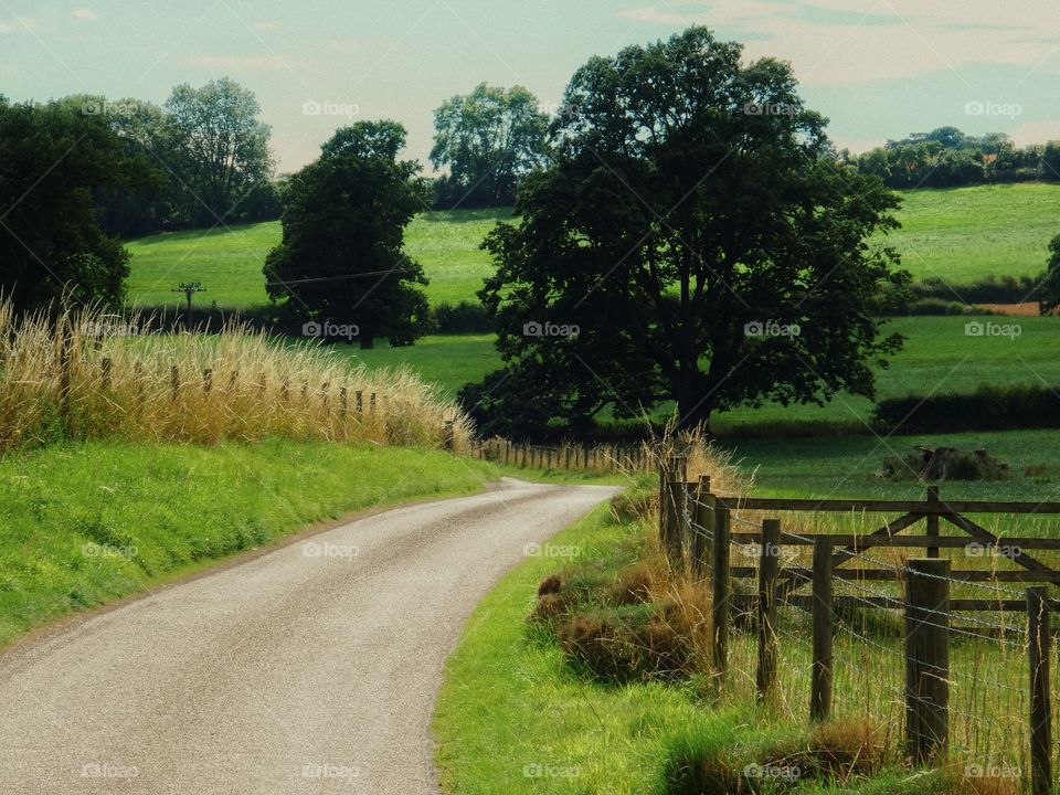 Road. Farmland