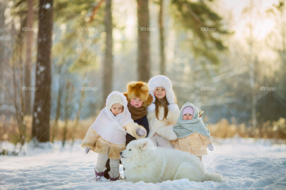 Children playing with the Samoyed dog at cold winter day