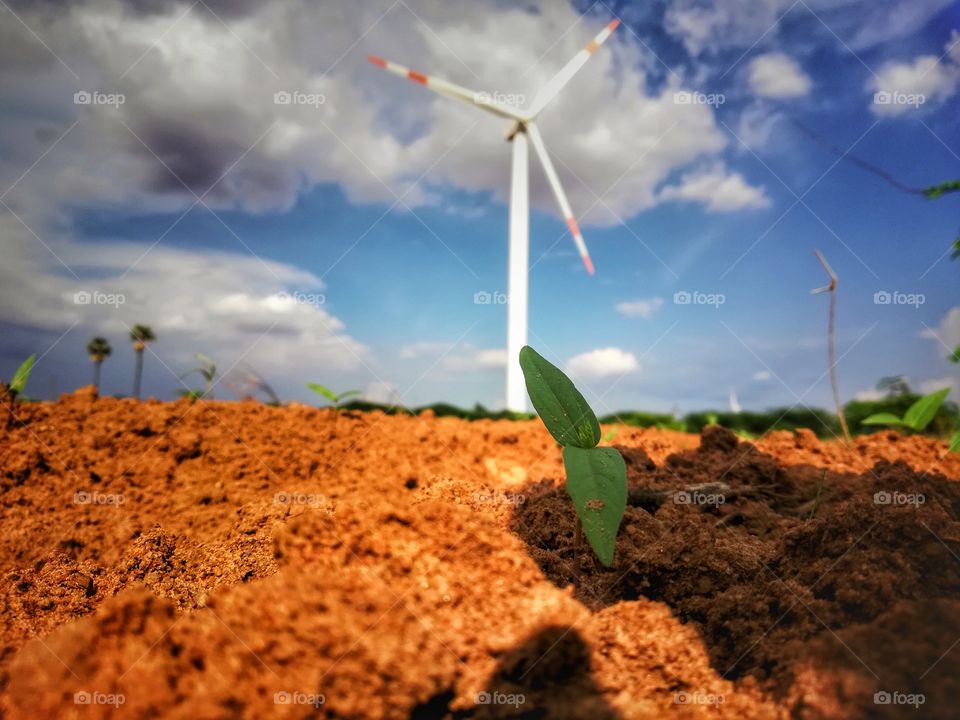 very Beautiful picture the plants are focused transference windmil