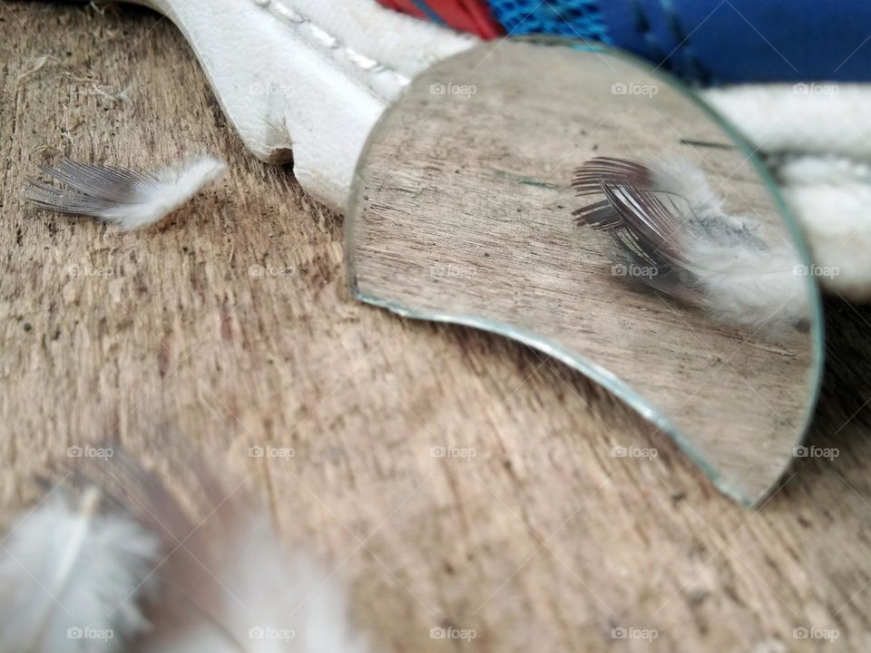 mirror reflection of feather