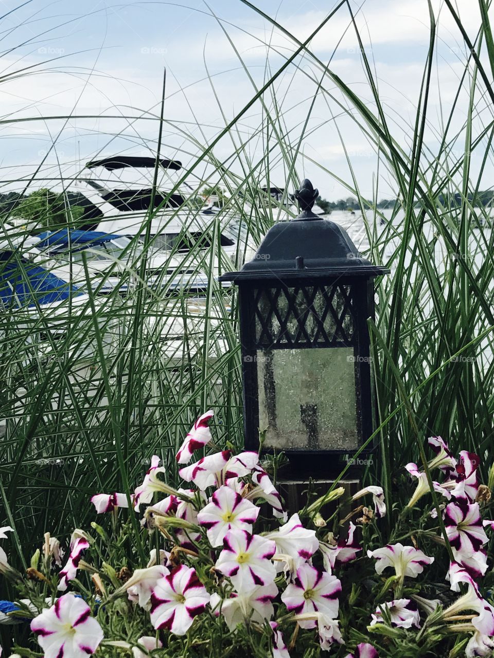 Boats off the Dock 