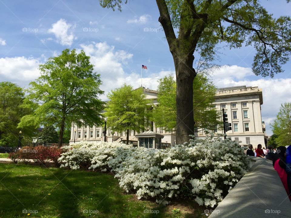 The Treasury Building of Washington DC