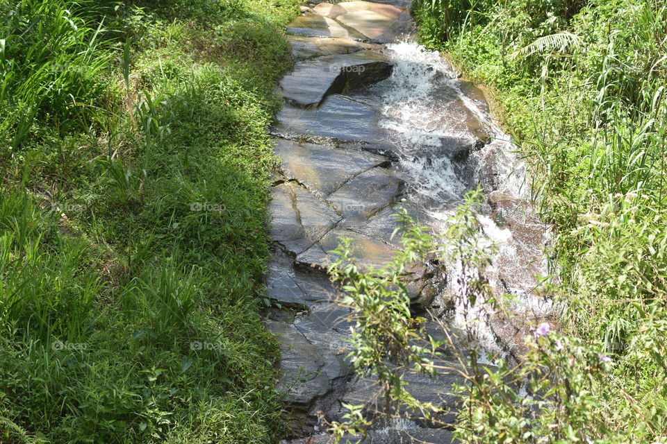 Beautiful water flow through the woods