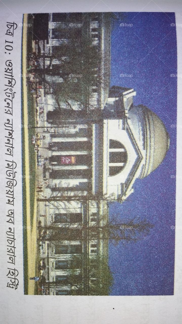 National museum of natural history