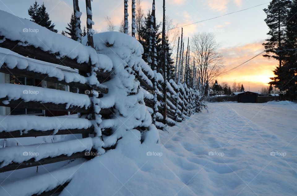 Winter fence