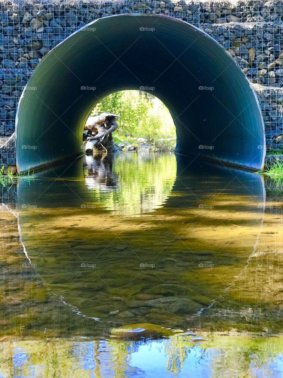 Fresh reflection h2o