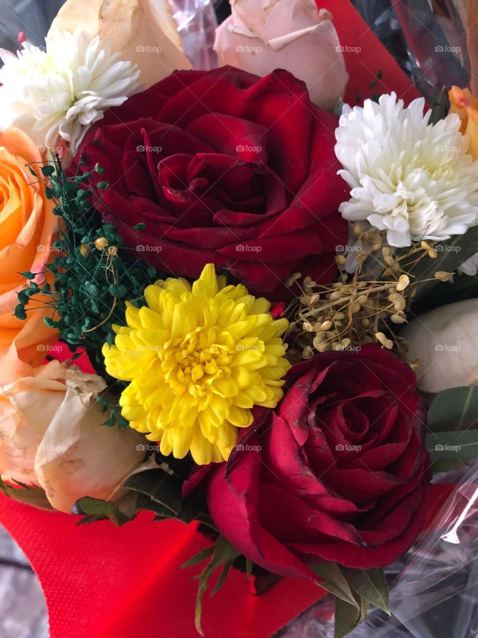 beautiful and Multicolor flowers