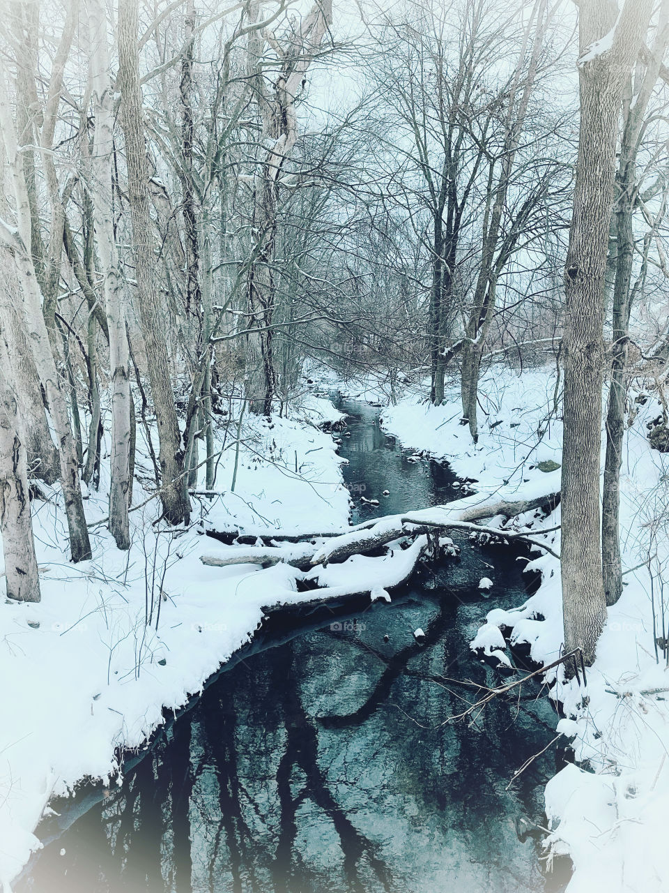 Winter wonderland in New England 