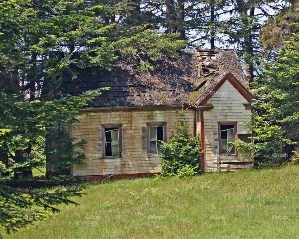 Abandoned House