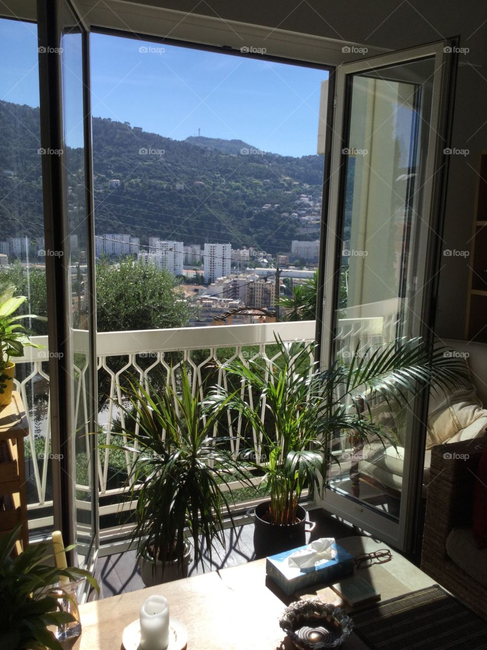 Outside My Window...