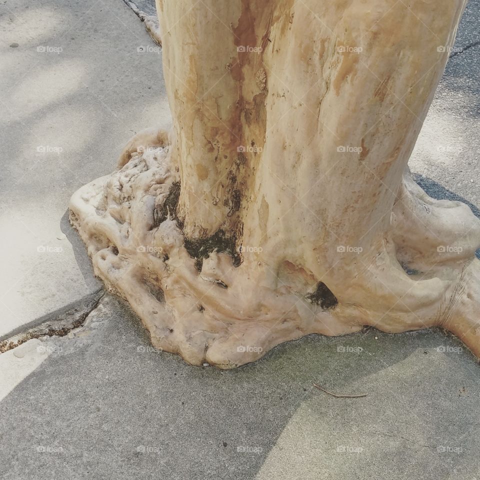 Tree meets concrete