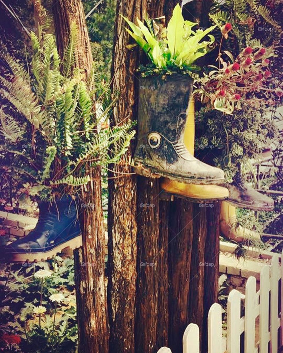 Isn't this cool? I loved the concept of using our old boots like this! 