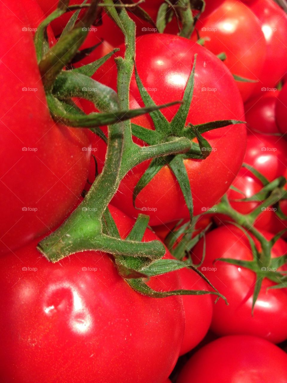 Full frame shot of tomatoes