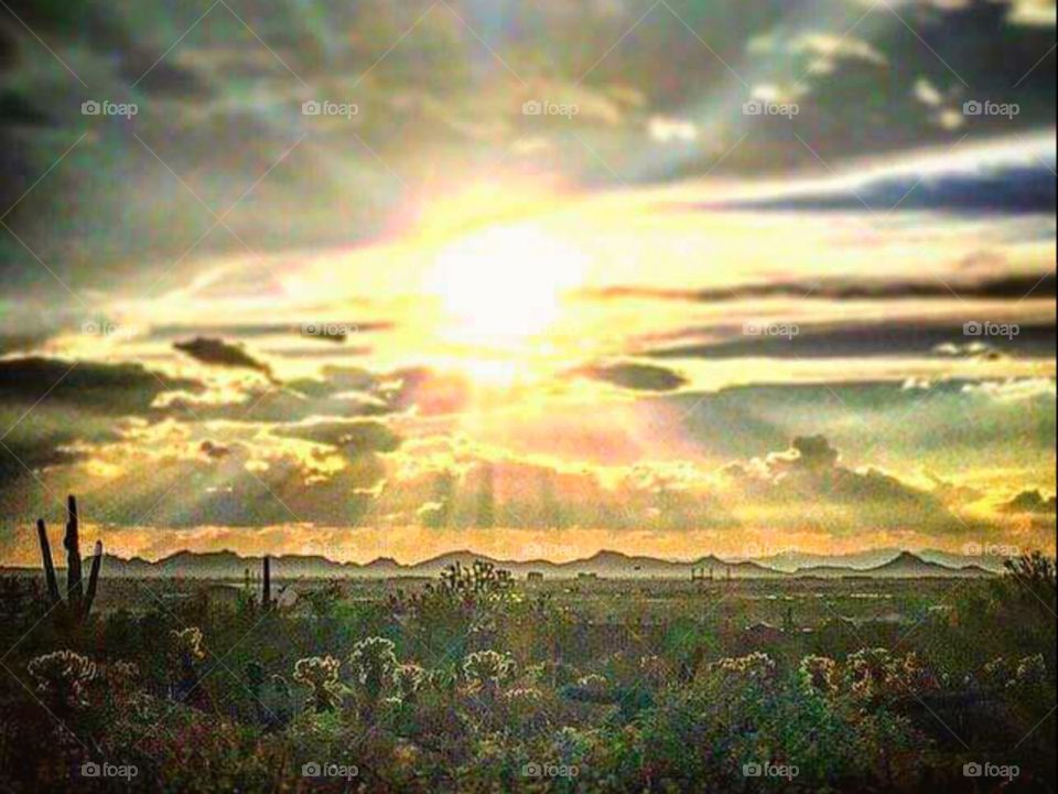 Evening in the desert