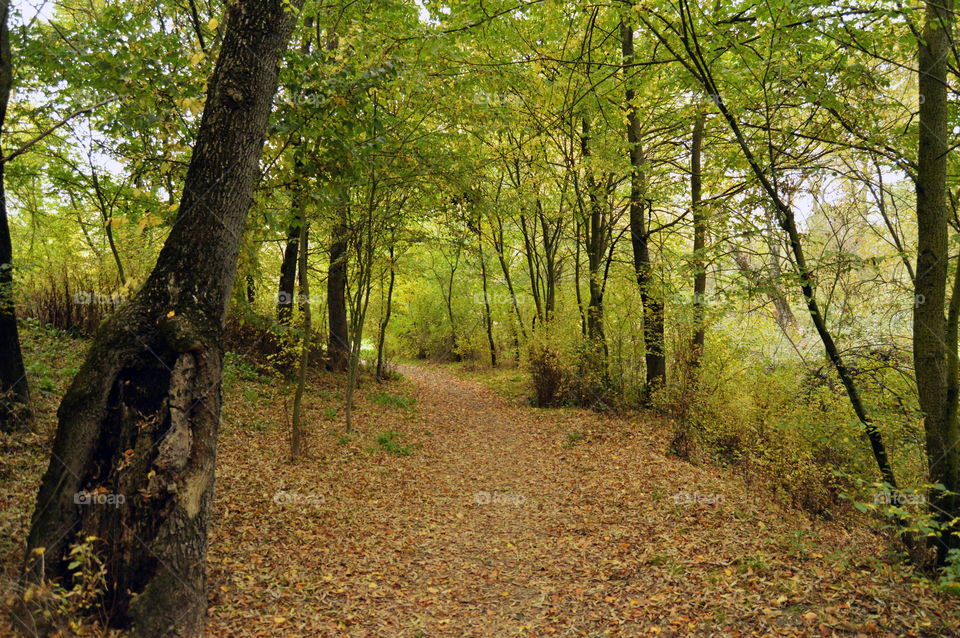 Casa de campo - Country house