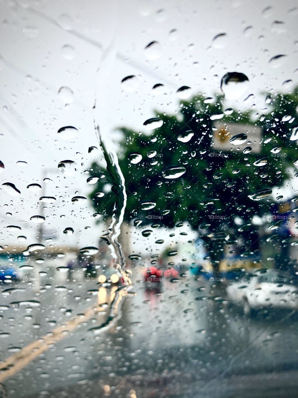 🇺🇸 The beauty of rain falling on the city!  May the water come soft, and cool the day.  Cheer the nature. / 🇧🇷A beleza da chuva caindo na cidade! Que a água venha mansa, e refresque o dia. Viva a natureza.