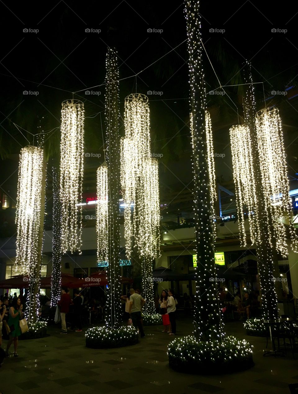 Lights in the park 