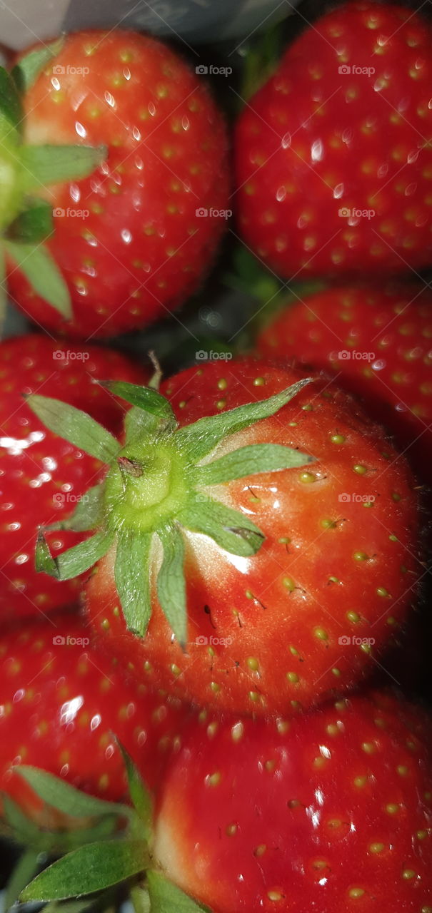 Envie de fraises