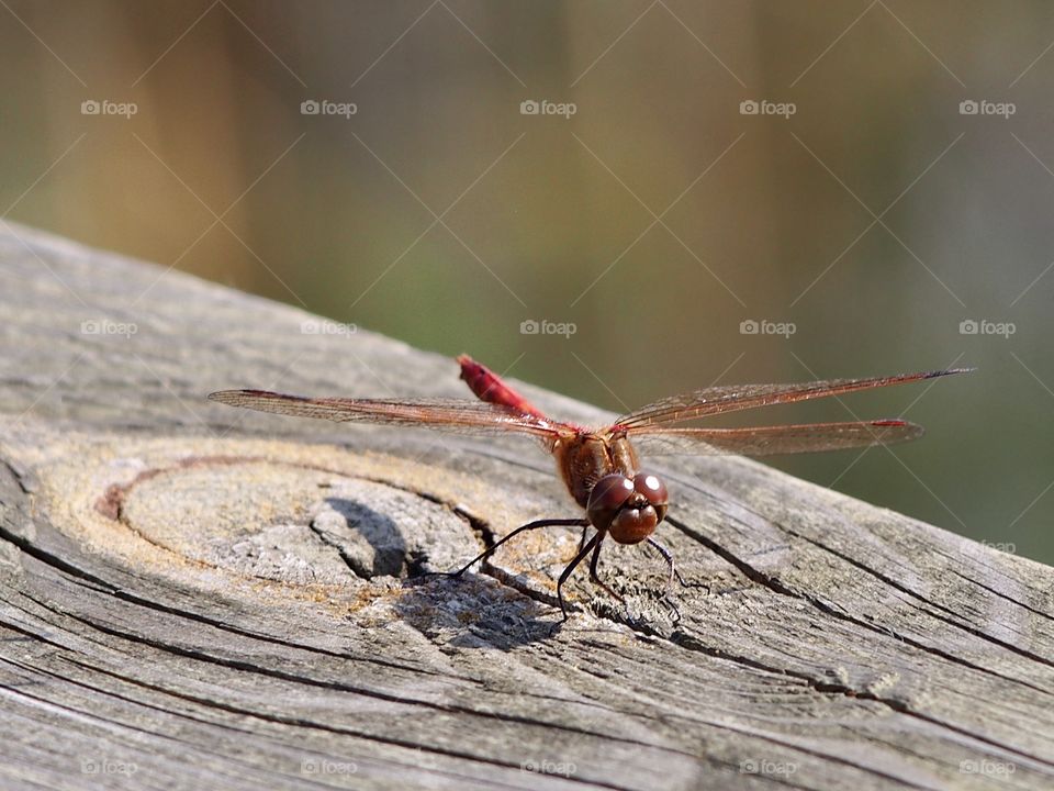 Nothing is better than warmth