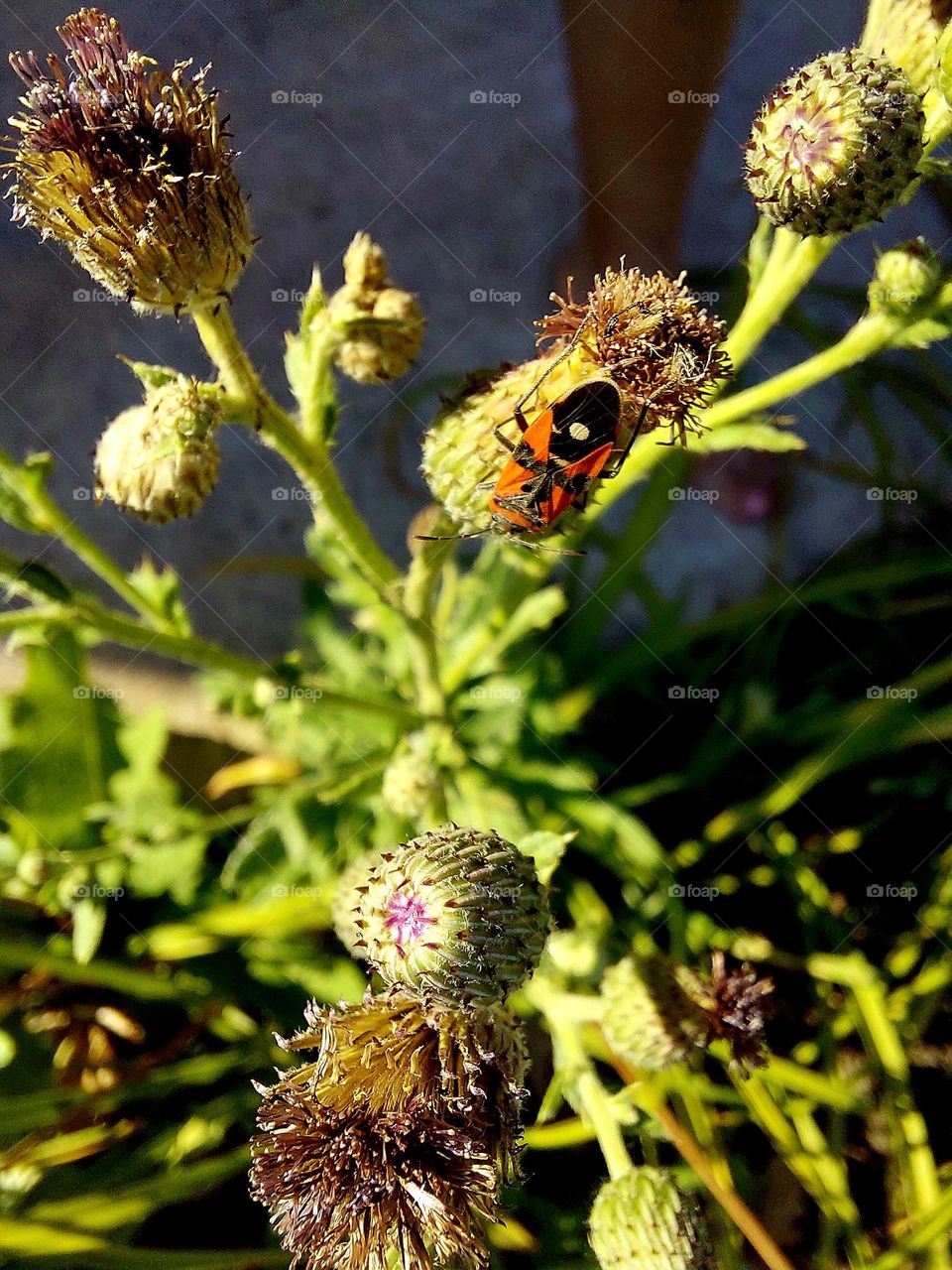 hot summer day..🌝