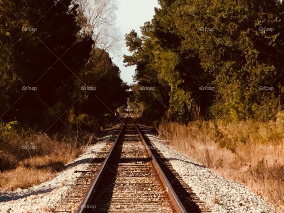 Train tracks in the country 