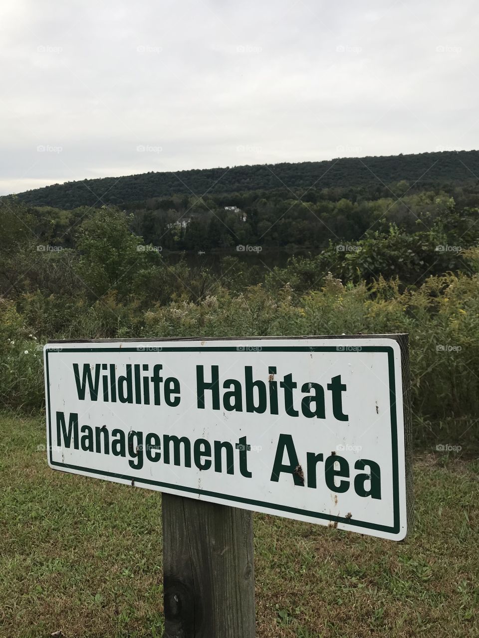 Wildlife Habitat Management Area