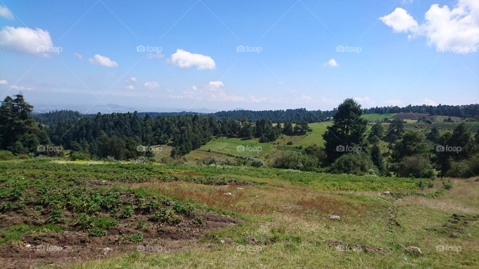 papa en las faldas de un volcán