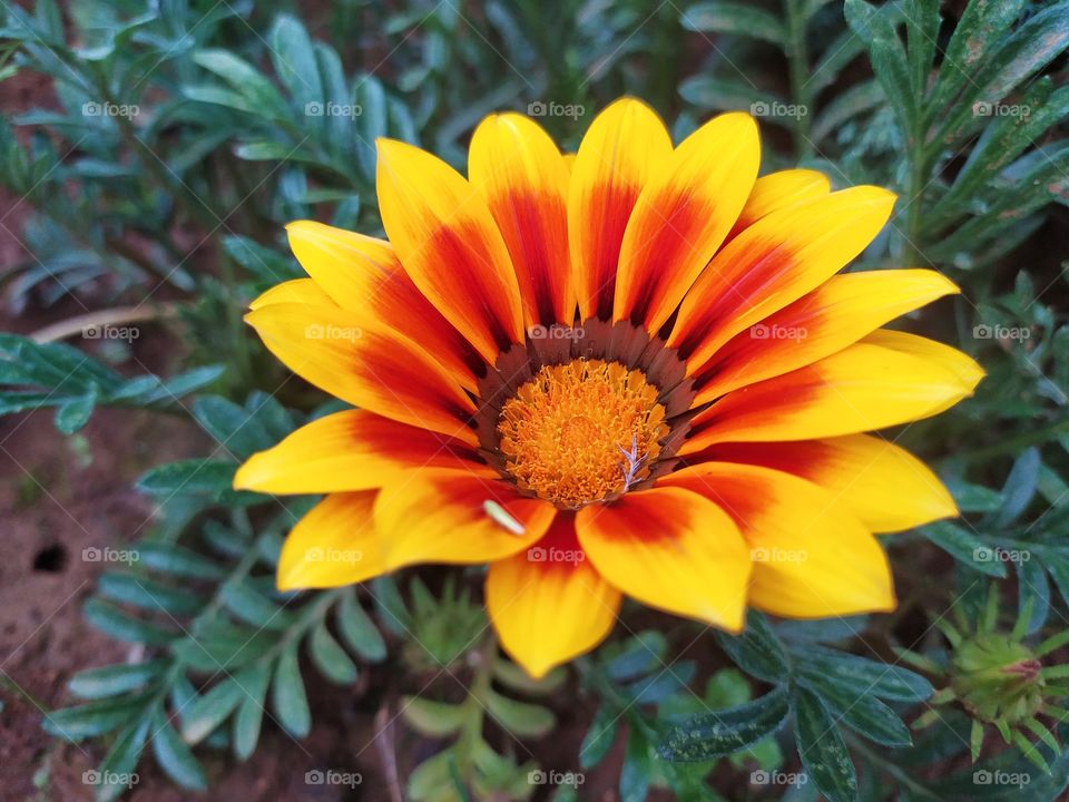 😍two colours  photography