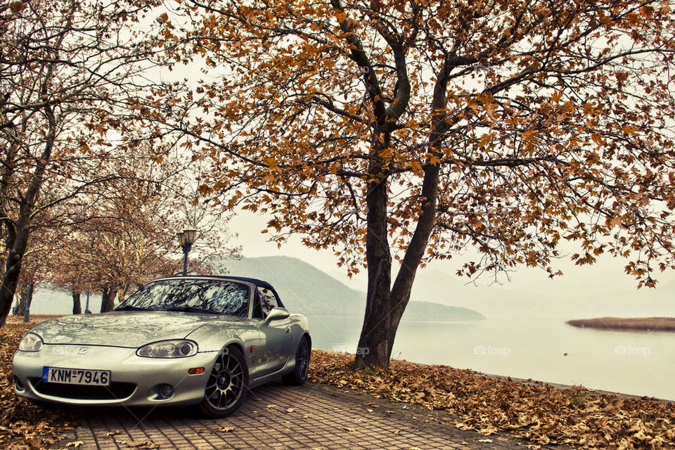 car photography leaves convertible by grifind