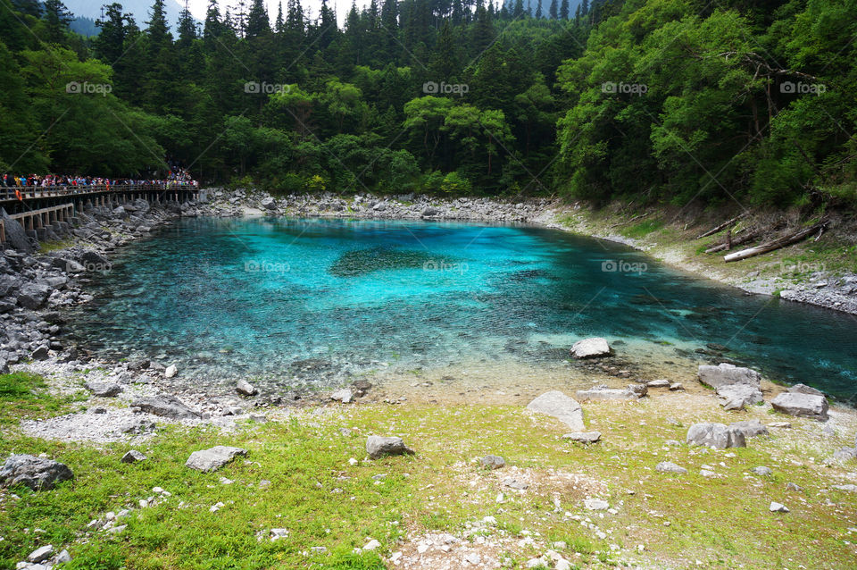 Tibet. 九寨溝