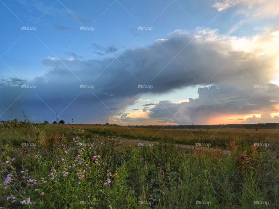 Beautiful view sunset landscape 