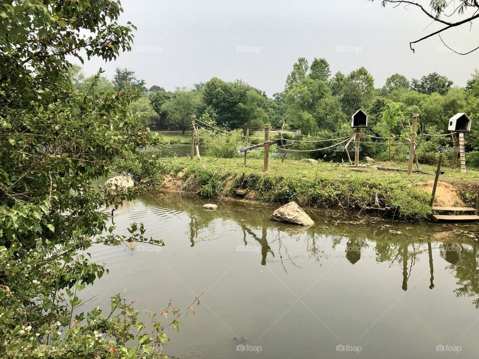 Lake and Habitat &or the animals at the Zoo 🌿