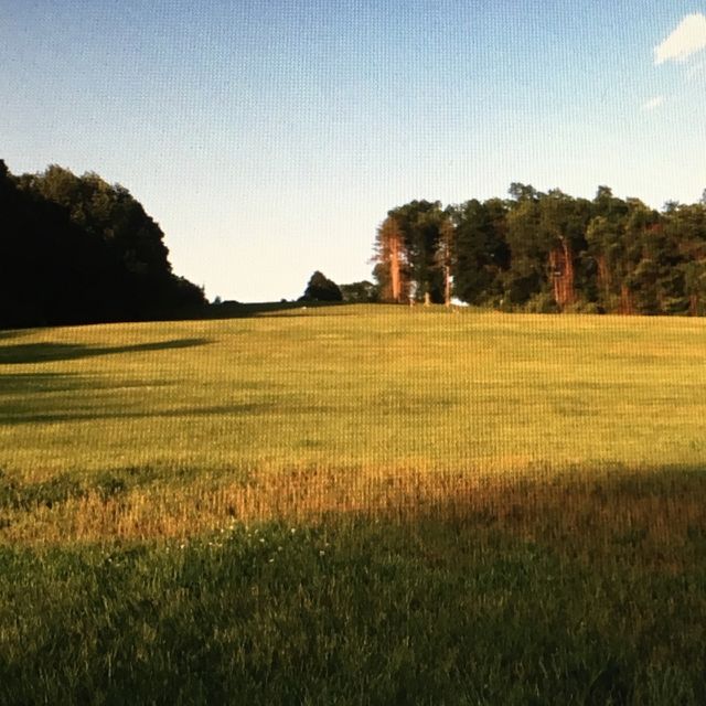 Wickham Park