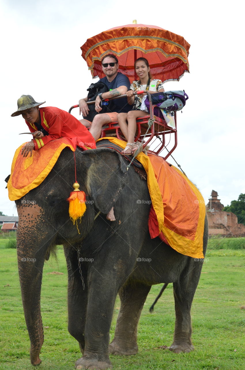 people riding an elephant bangkok thailand