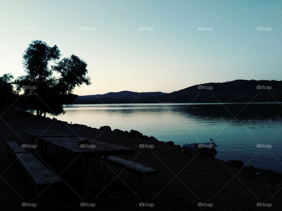collins lake