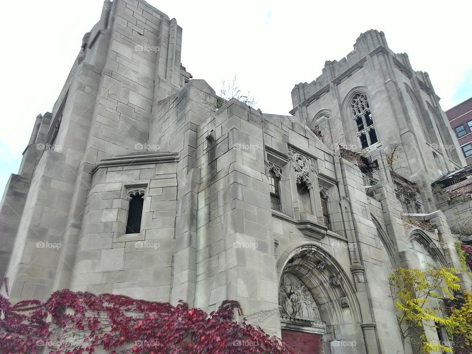 gothic cathedral. a decayed church