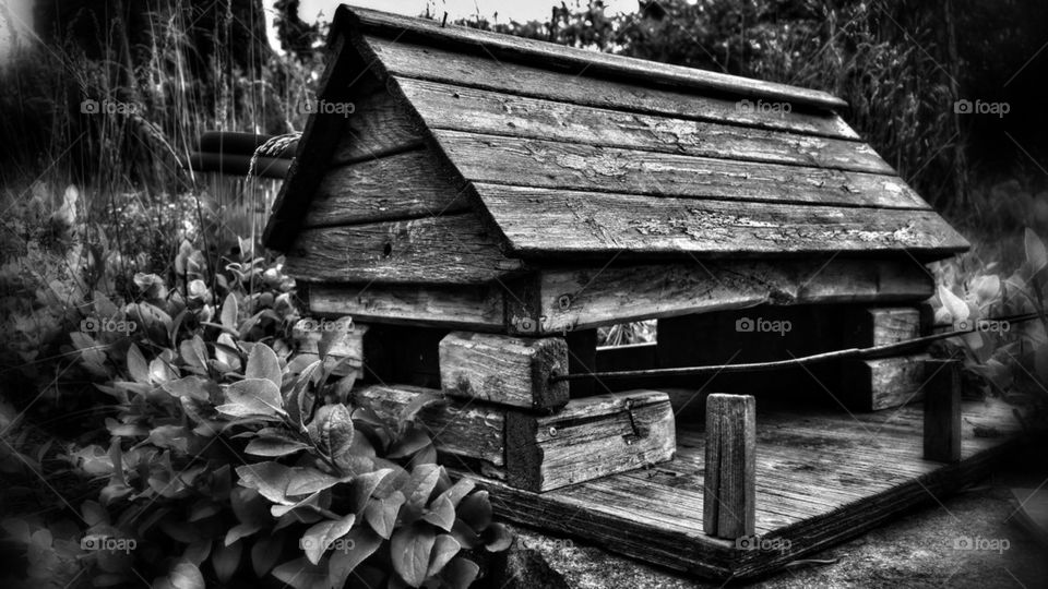 birdhouse 