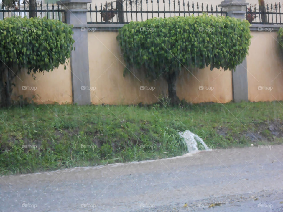 Rain Water Running Along The Road