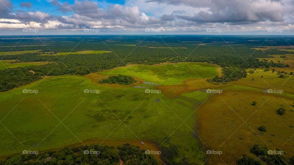 Aerial photo of pantanal. Foto aérea do pantanal.