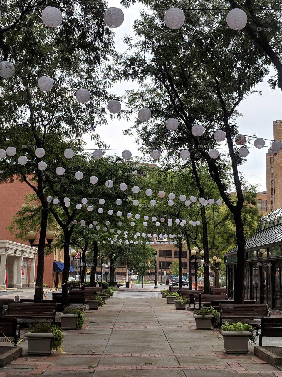 Downtown Syracuse - Paper Lanterns Lining a Tree-Lined Street of Restaurants and Shops