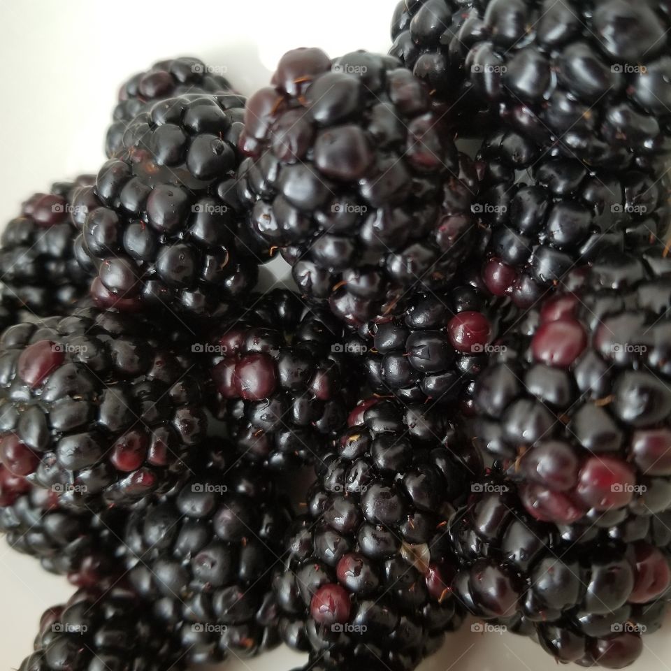 Last of the season Blackberries