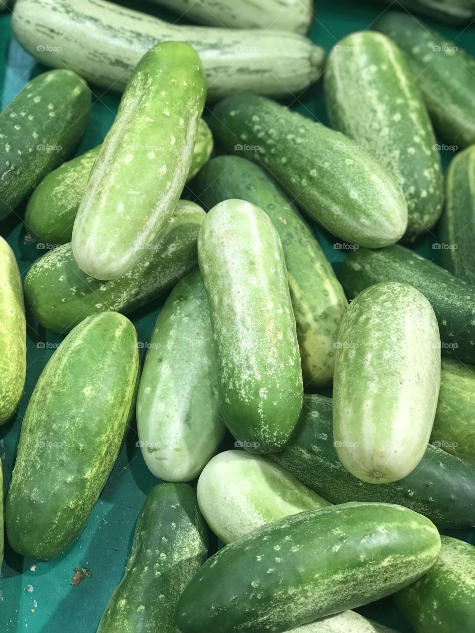 Brasílian cucumber