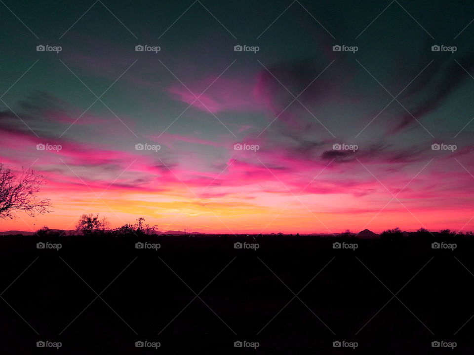 Sonoran Desert sunset