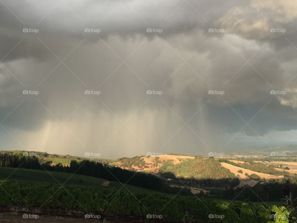 Rain over hills. Rain clouds move through the vineyards at twilight