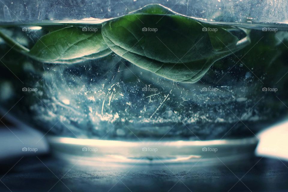 Close-up of fresh spinach leaves in water in a scratched bowl