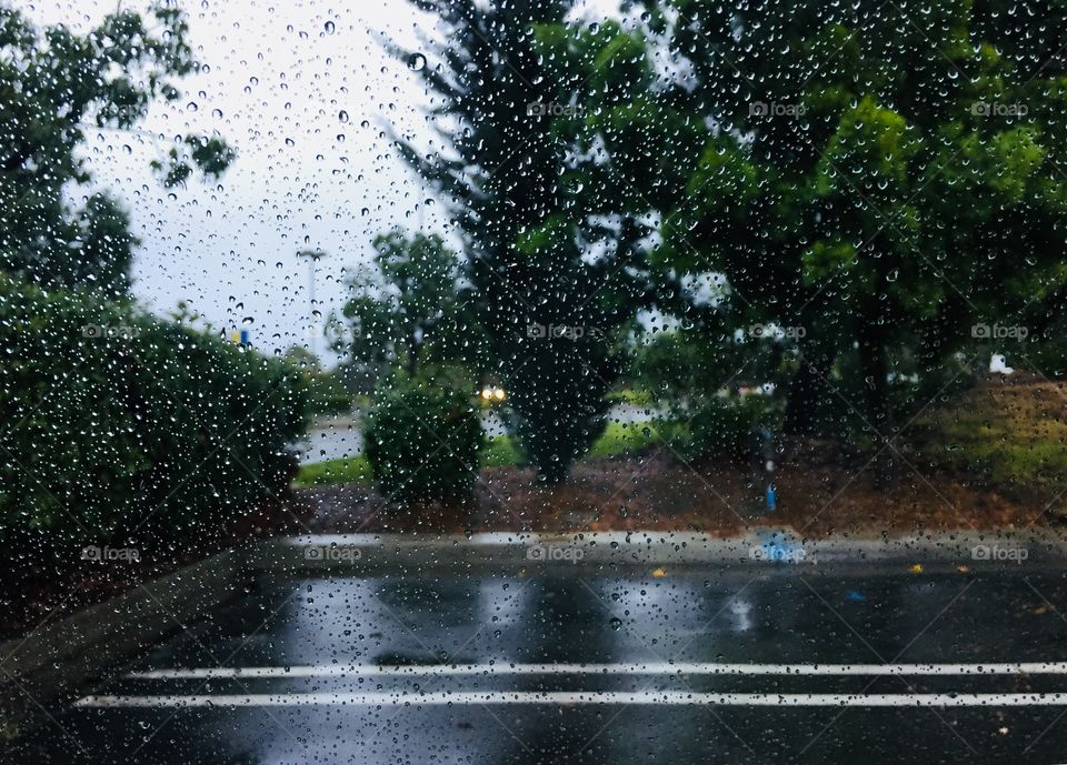 Rainy days