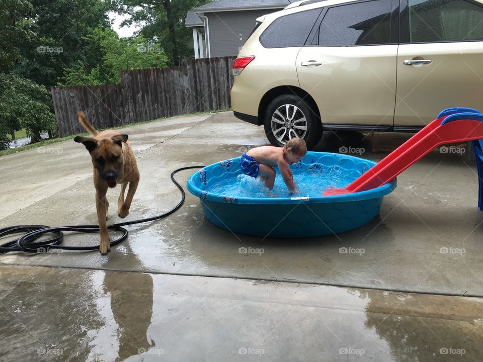 Young boy plays in kiddie pool as pet dog runs by