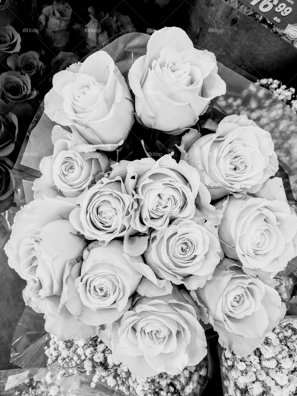 Roses in Black and White