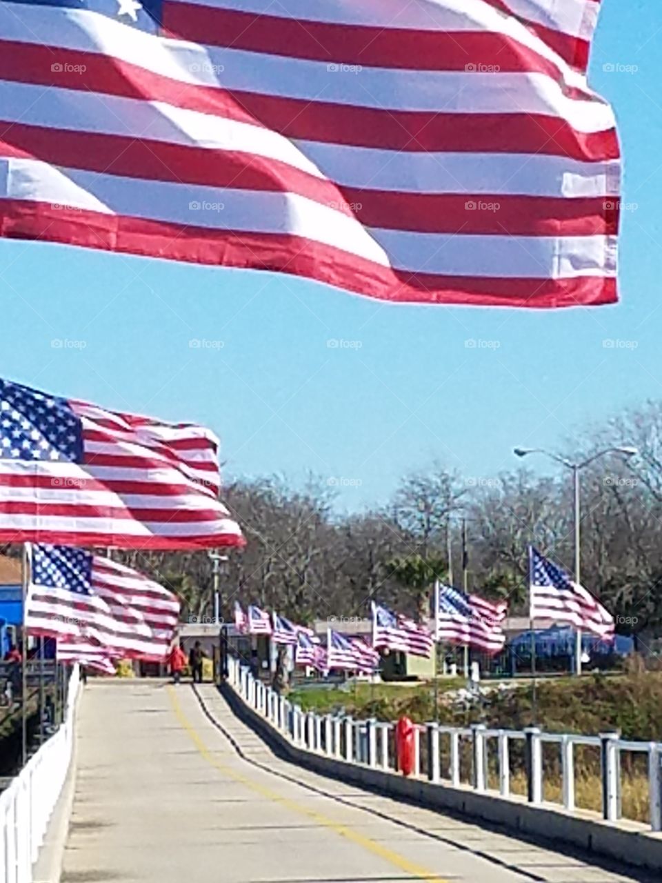 row of flags