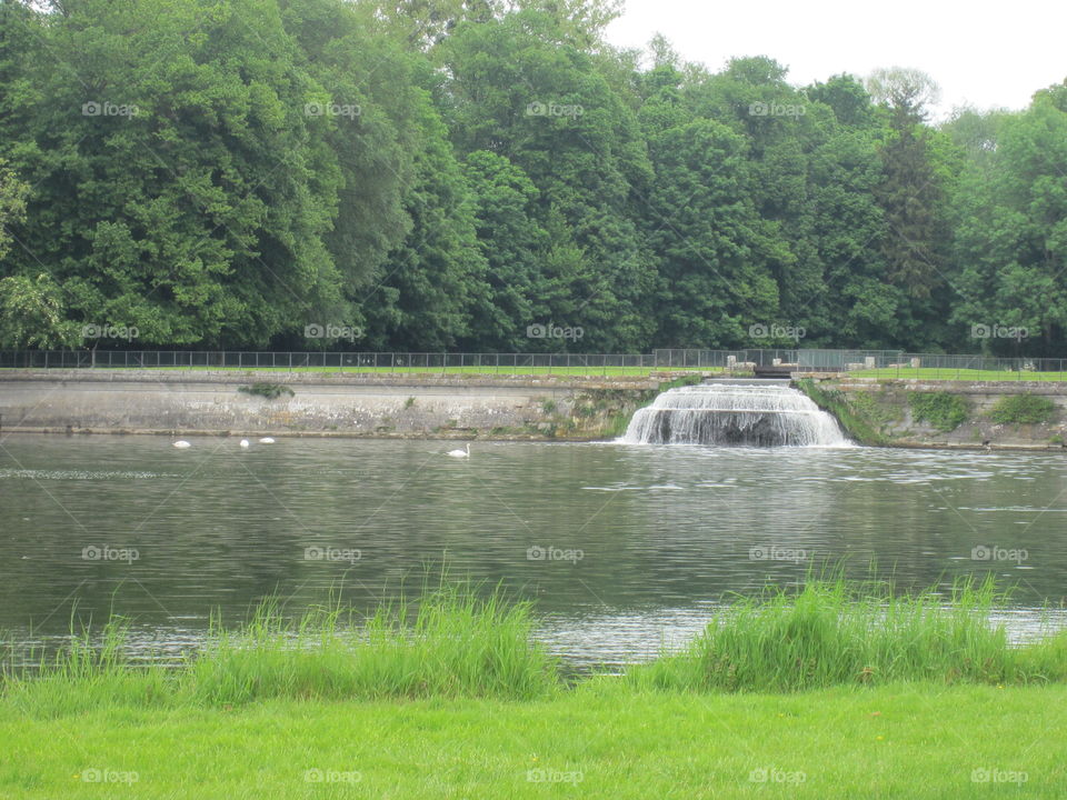 Water, Nature, River, Landscape, Tree